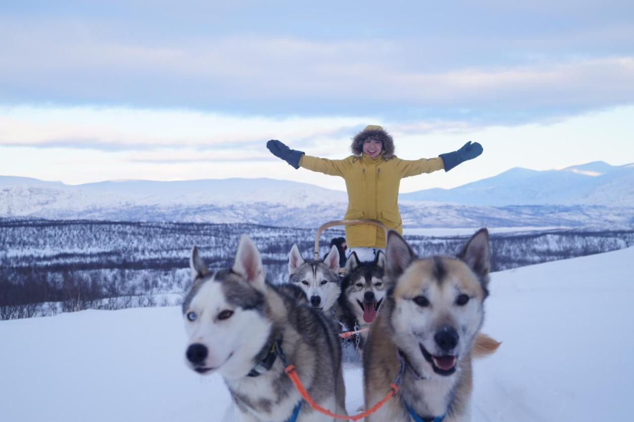 Abisko Net Hostel & Huskies Exterior photo