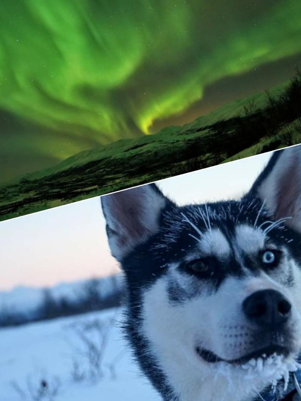 Abisko Net Hostel & Huskies Exterior photo